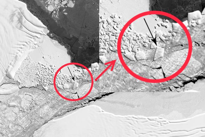 Kot je razvidno s te fotografije, ledena gora iz ptičje perspektive ni popoln pravokotnik. Pri Nasi so bili vseeno precej začudeni nad njenim lomljenjem od ledene plošče Larsen C - da ima sveža ledena gora dva prava kota, se namreč ne zgodi prav pogosto.  | Foto: NASA
