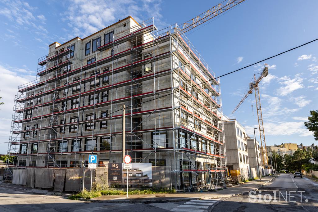 Bežigrajska petka, avgust 2025