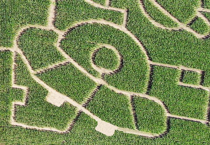koruzni labirint Krtina | Foto: Koruzni labirint Krtina