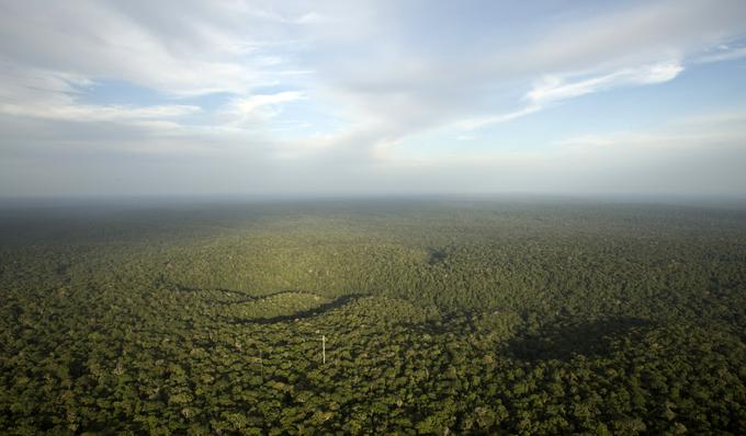 Zaradi ogromne površine amazonski pragozd v ozračje izpusti velike količine vode, s čimer pomembno prispeva k stabiliziranju podnebja na našem planetu. | Foto: Reuters
