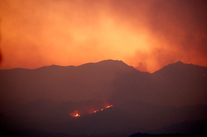 Ciper požar | Foto: Reuters