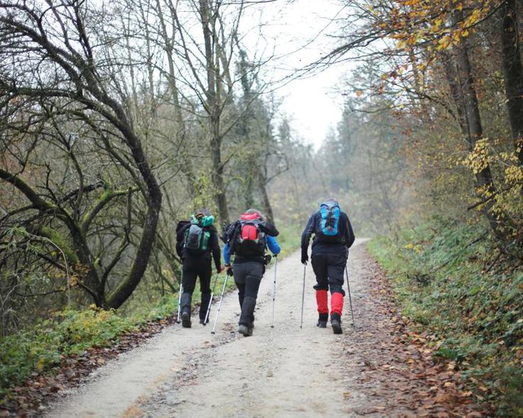 pohod, pohodniki | Foto: Daniel Novakovič/STA