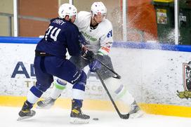 Prijateljska tekma: Slovenija - Francija, hokej, Bled