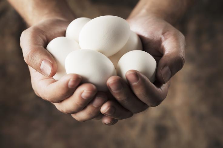 Hrana lokalnega izvora ne prepotuje dolgih razdalj in ima številne prednosti, saj se v njej ohrani več hranilnih snovi in vitaminov. | Foto: Thinkstock