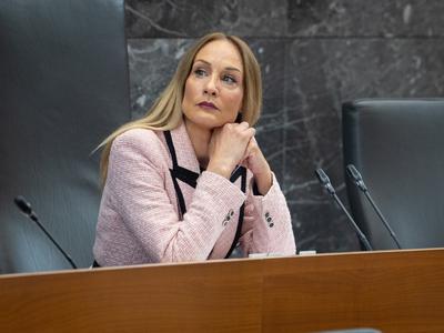 V opoziciji ogorčeni nad umikom točk o odreditvi dveh parlamentarnih preiskav