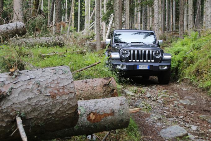 Za obiskovalce so organizatorji pripravili 40 kilometrov gozdnih poti različnih težavnostnih stopenj, po želji tudi s spremstvom inštruktorja Jeep akademije.
 | Foto: Aleš Črnivec in Jeep