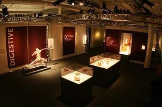 Razstava živega, v neživem