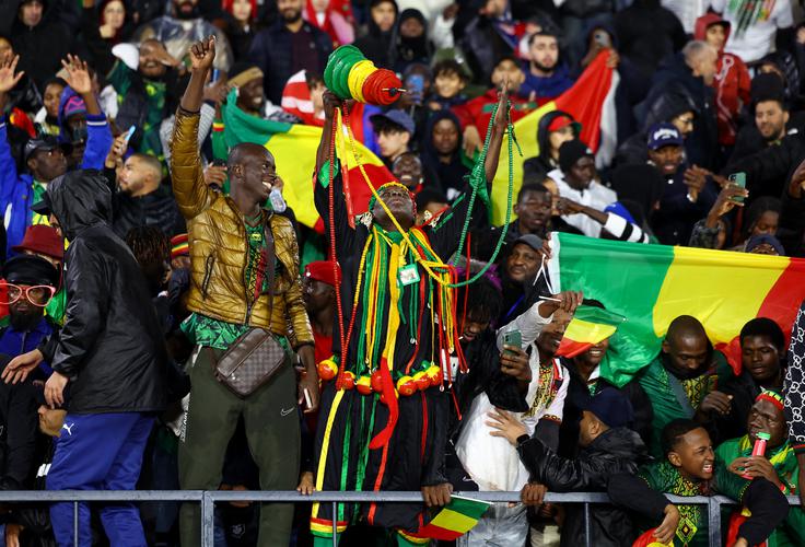 Navijači Malija so proslavljali zmago svojih ljubljencev proti Tuniziji. | Foto: Reuters