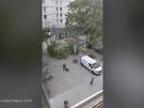 Trenutek padca drevesa