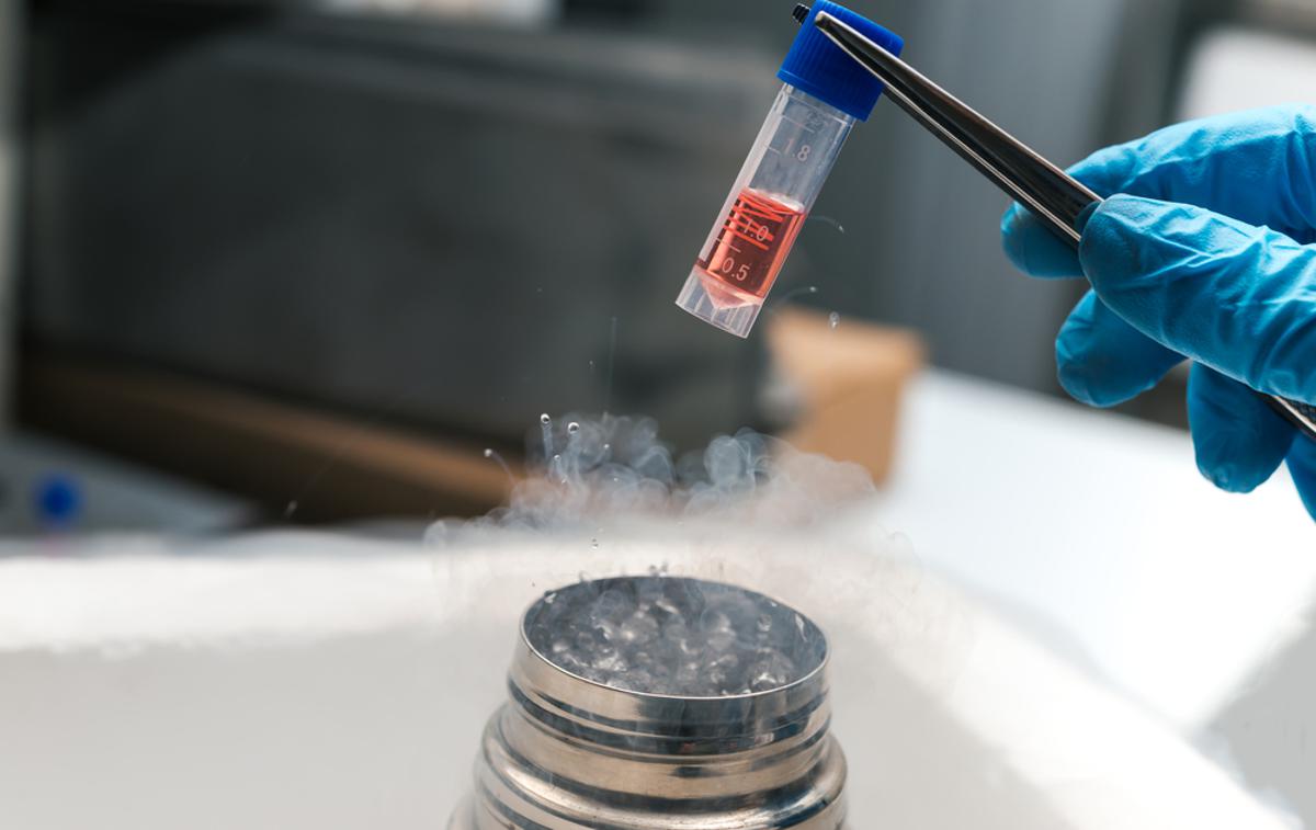 Matične celice, Biobanka | Minulo soboto so bili obveščeni, da je v dveh krioposodah temperatura začela naraščati in je prešla omenjeno dovoljeno mejo. | Foto Shutterstock