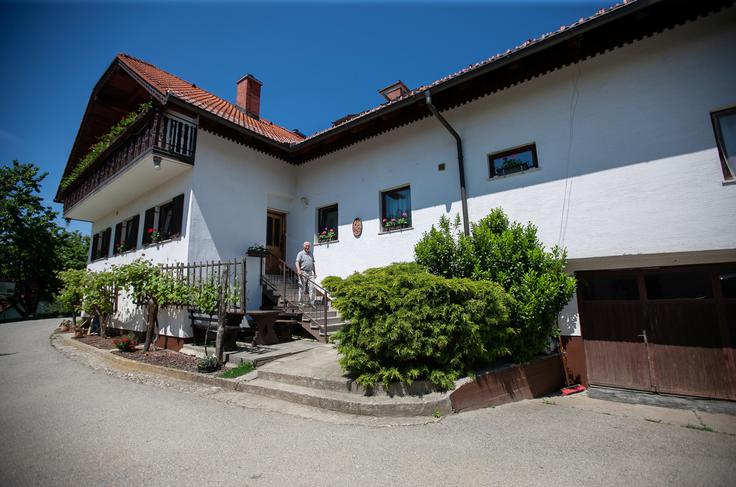 Ekološka kmetija Valentan Vodole Malečnik vino vinograd | Foto: Peter Susič