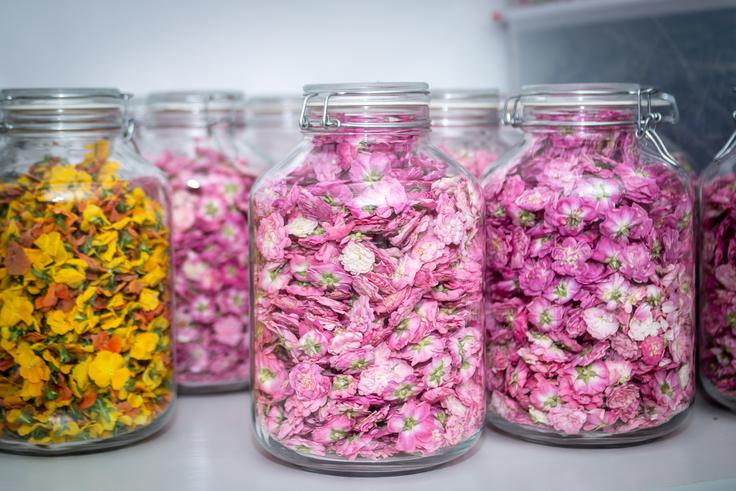 Eszter Szentirmai | Foto: Gaja Hanuna