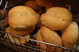 "Zakaj bi plačevali poslance, če odločajo samo predsedniki strank?"