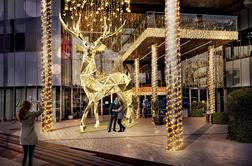 Bi z otroki naredili selfi ob največjem jelenčku v Evropi?