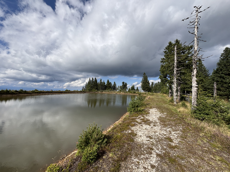 Pohorje je drugačno kot naše apnenčaste Alpe – silikatno gorstvo, razpotegnjeni grebeni, visokobarjanska mokrišča in jezerca, dolgi odseki, kjer si ure sam s potjo.  | Foto: Žiga Papež
