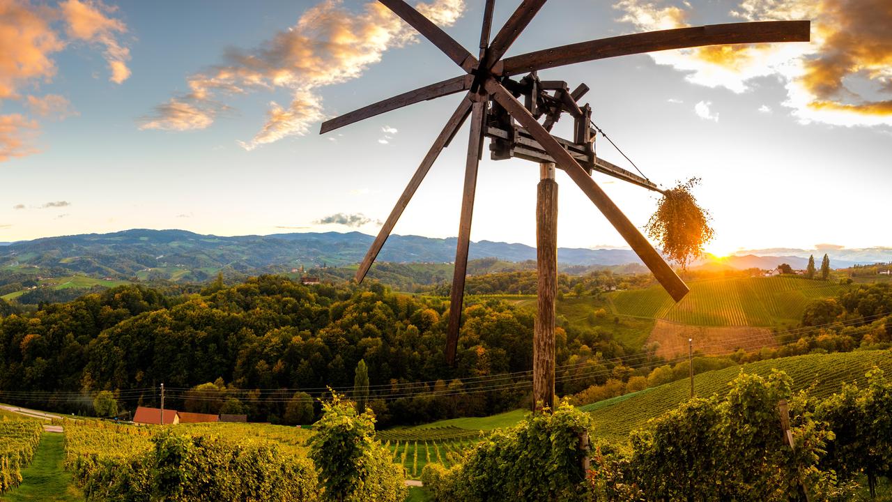 Štajersko razglasili za najboljšo vinsko regijo v Evropi, premagala je celo Francijo in Italijo