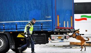 V tovornjaku na trajektu za Irsko odkrili 16 ljudi