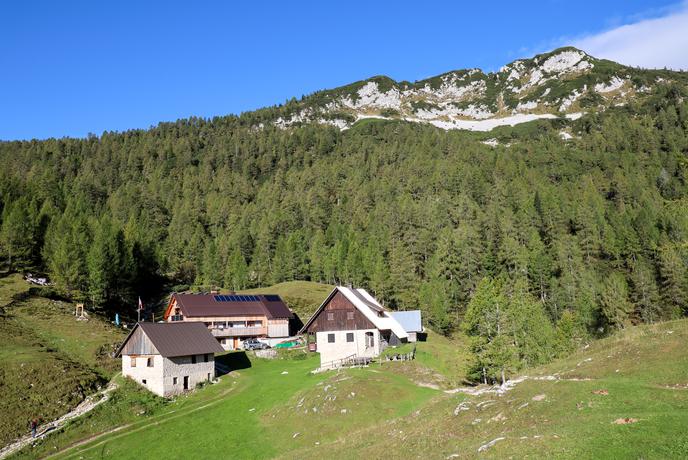 Slalom med jurčki in mušnicami na razgledno goro nad Pokljuko