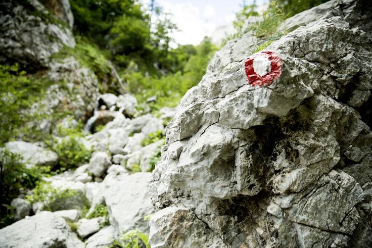 Pot na Okrešelj | Foto: Ana Kovač