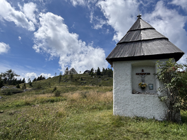 Žiga Papež