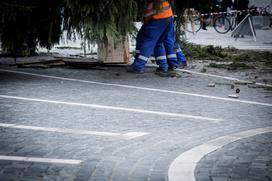 Novoletna smreka v Ljubljani Prešernov trg