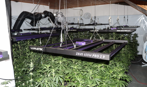 Velika hišna preiskava na območju Celja #foto