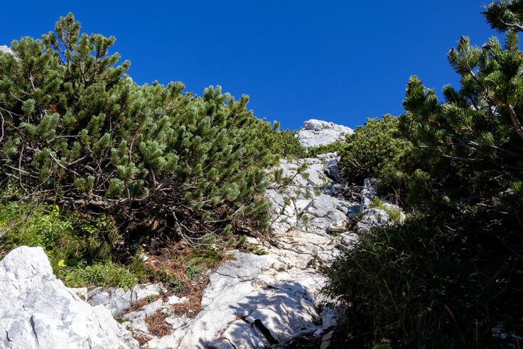 Najzahtevnejši del vzpona s Studorskega prevala po direktni poti na VDV. | Foto: Matej Podgoršek