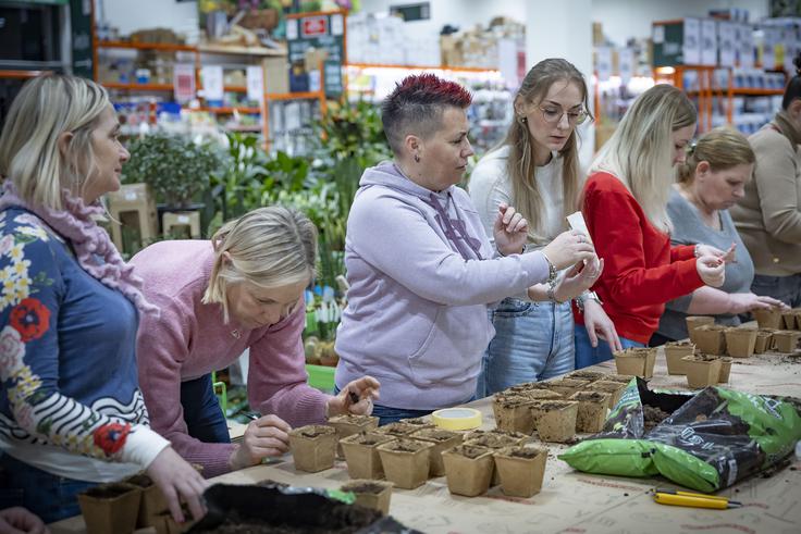 Bauhaus Koper | Foto: Ana Kovač