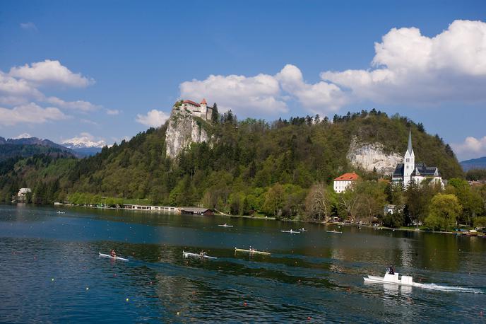 Veslanje Bled | Foto Vid Ponikvar