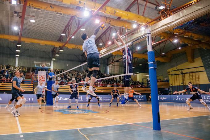 Calcit Volley ACH Volley Nik Mujanović | Foto: Klemen Brumec