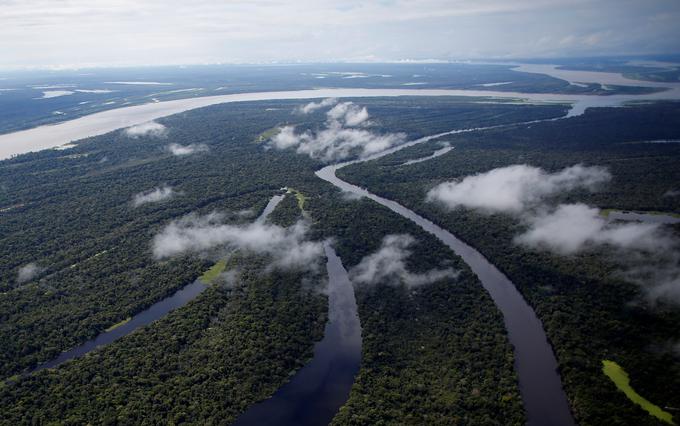 Amazonski deževni gozd deluje kot orjaški odtok ogljika, obenem pa je pomemben proizvajalec kisika. | Foto: Reuters