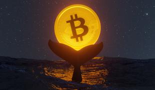 Po 14 letih prodal vse svoje bitcoine. Preverite, koliko milijard je zaslužil.