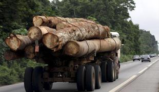 Nezakonita trgovina z afriškim lesom