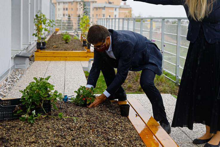 Na poziv za ozelenitev ene javne površine, ki jo vodi neprofitna skupina prostoRož, se je odzvalo 15 občin, med katerimi je imel Kranj najbolj prepričljivo prijavo. | Foto: Skupina prostoRož