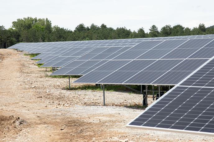 sončne elektrarne | Fotografija je simbolična. | Foto STA