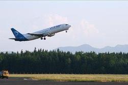 Bo Adria Airways letela iz Trsta, Maribora ali celo Ljubljane?
