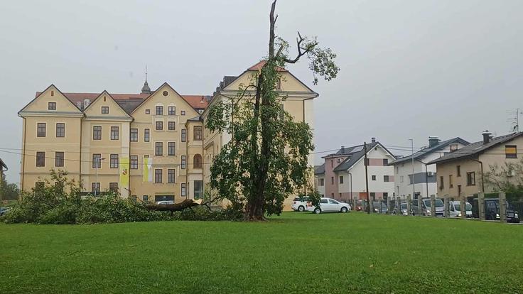 Novo mesto, neurje | Foto: STA