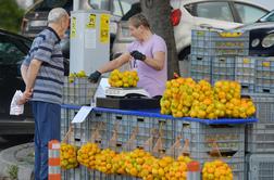 Kaj se dogaja s priljubljenimi mandarinami?