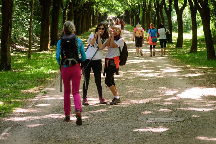 Pot ob žici 2020 | Foto: Nebojša Tejić/STA
