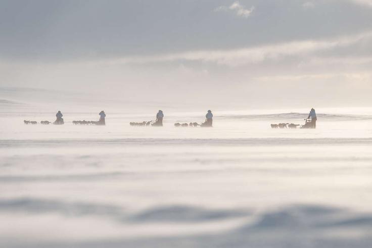 FJR_2025_Polar_207796_1200 | Foto: Fjällräven