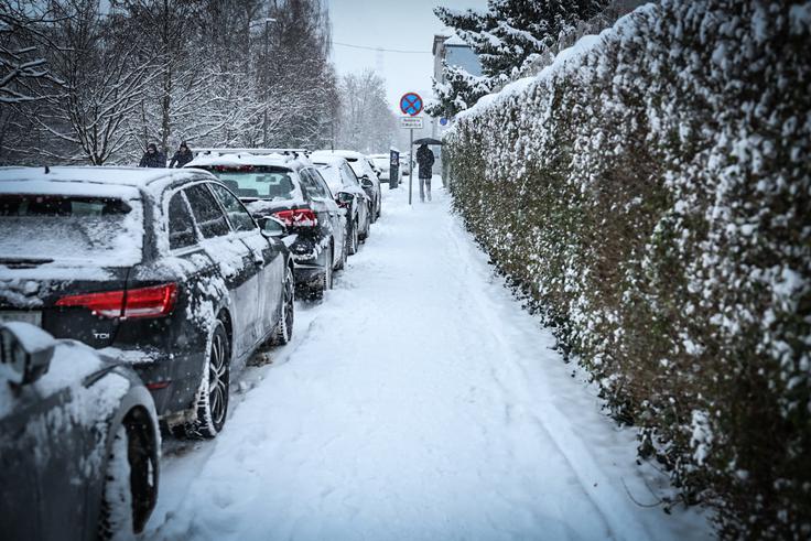 Zasnežena Ljubljana  | Foto: Ana Kovač