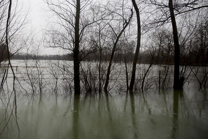 Poplave Barje | Foto: Ana Kovač