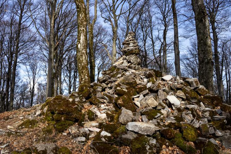 Črni vrh ima 1.204 metre, nima pa razgleda. | Foto: Matej Podgoršek