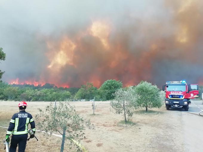 Požar na Krasu | Foto: Matjaž Marušič / gasilska enota Nova Gorica