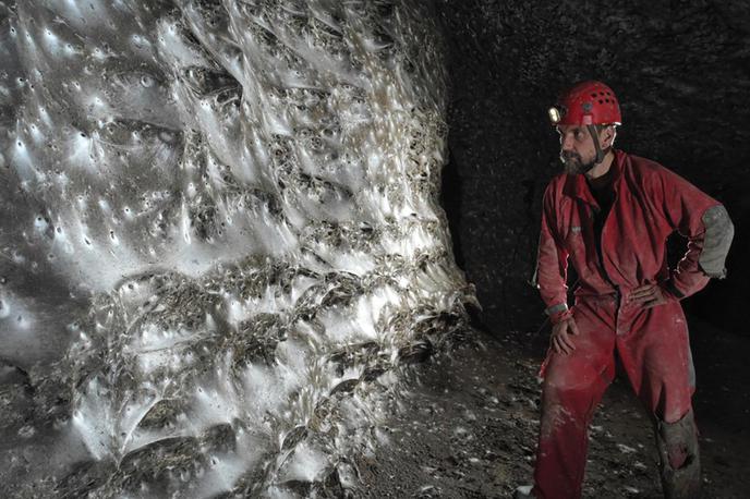 pajkova mreža, pajki | Obe vrsti pajka, ki sta zgradili mrežo, veljata za samotarski. Že najdba take mreže, ki bi jo tvorila ena vrsta samotarjev, je precej redka, še toliko bolj pa mreža dveh različnih takih vrst. | Foto Profimedia
