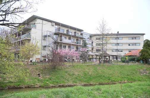 Številni domovi za starejše bi spet usklajevali oskrbnine. Navzgor.
