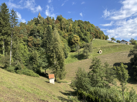 Žiga Papež, drugi dan