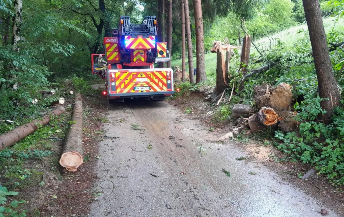 Krško | Da so lahko prišli do poškodovanih objektov, so žagali drevesa.  | Foto PGE Krško