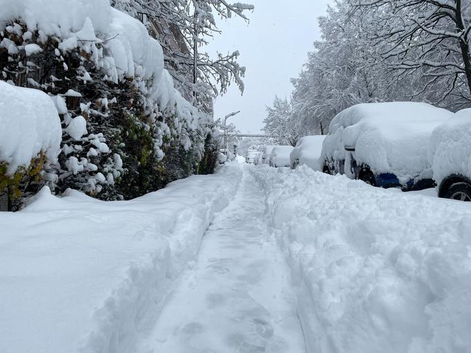 Nemška vremenska služba (DWD) je za večji del Bavarske napovedala sneženje do popoldneva, ponekod pa naj bi zapadlo do 40 centimetrov snega, danes poroča nemški Deutsche Welle. | Foto: Reuters