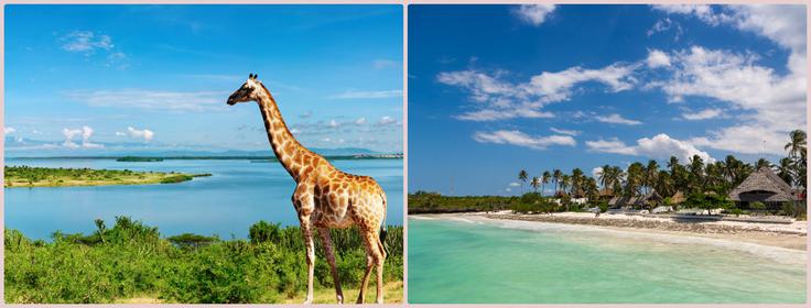 Uganda in Zanzibar | Foto: 